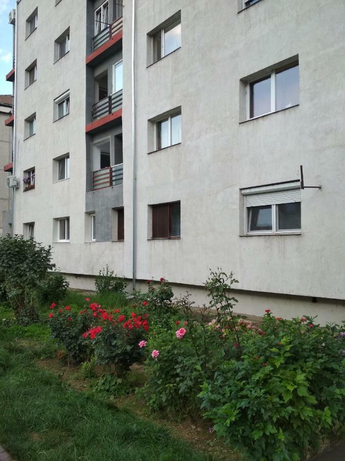 Alesia Apartment Oradea Luaran gambar